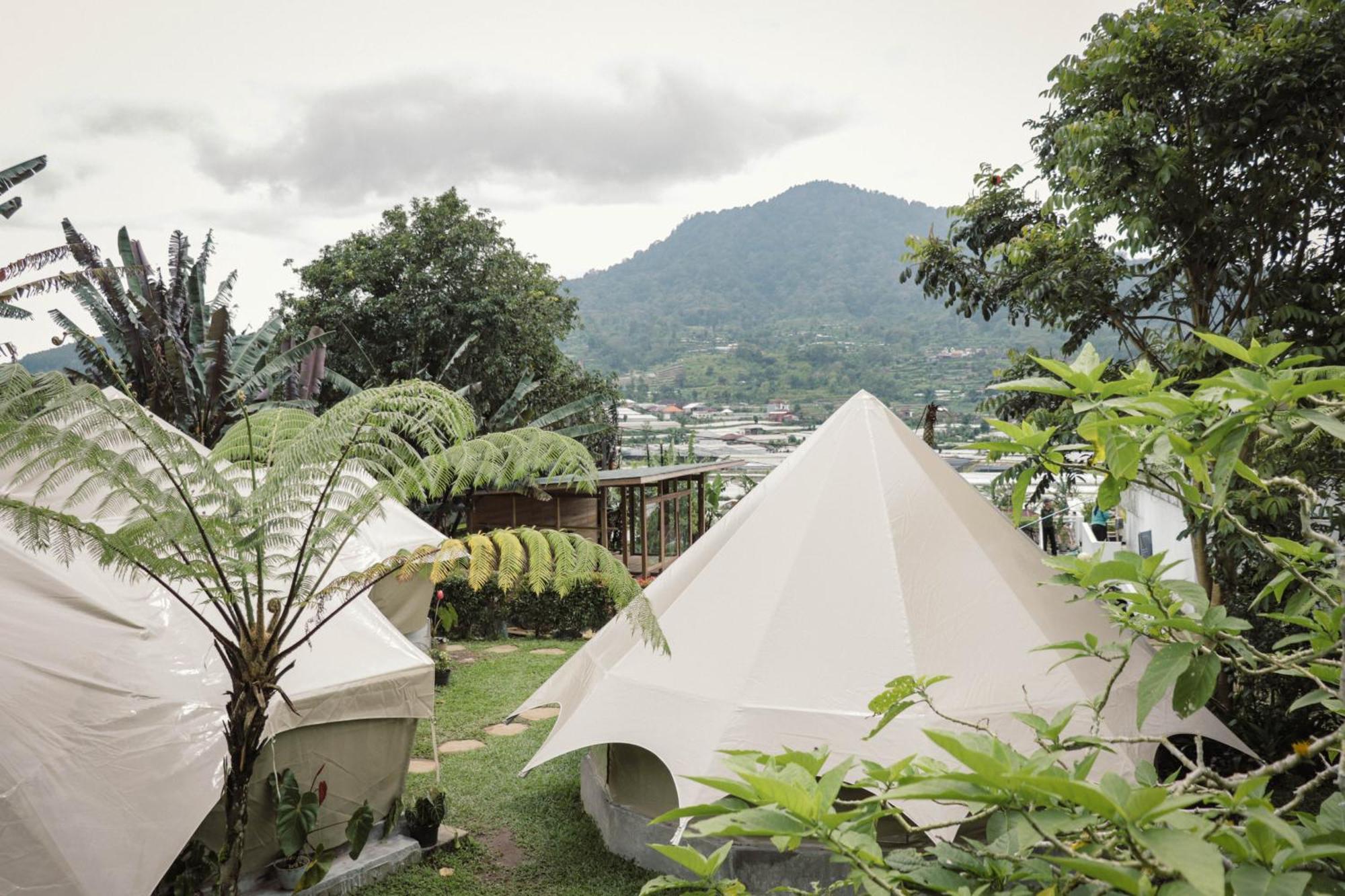 Luxury tent Alamu Eco Bedugul (Bali)