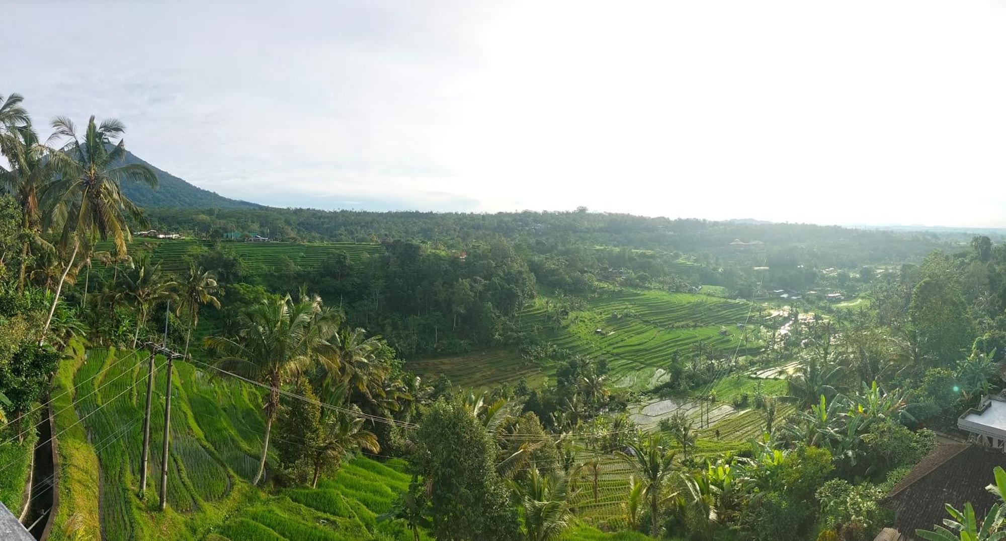 Gunza Guest house Jatiluwih