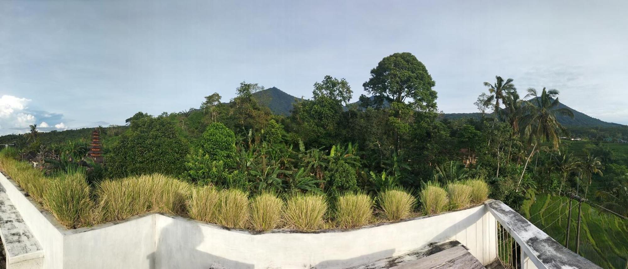 Gunza Guest house Jatiluwih