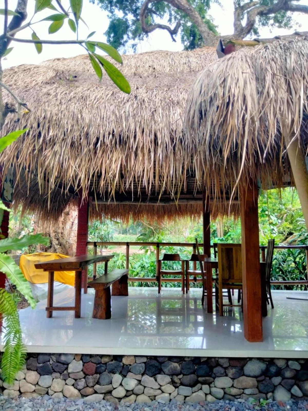 Villa Aditya Tejakula