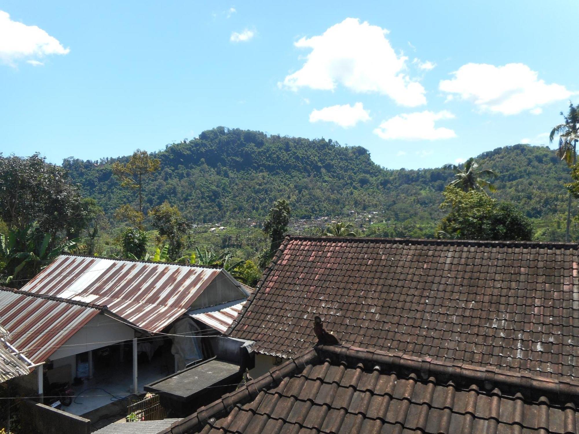 Dika Homestay Sidemen (Bali)