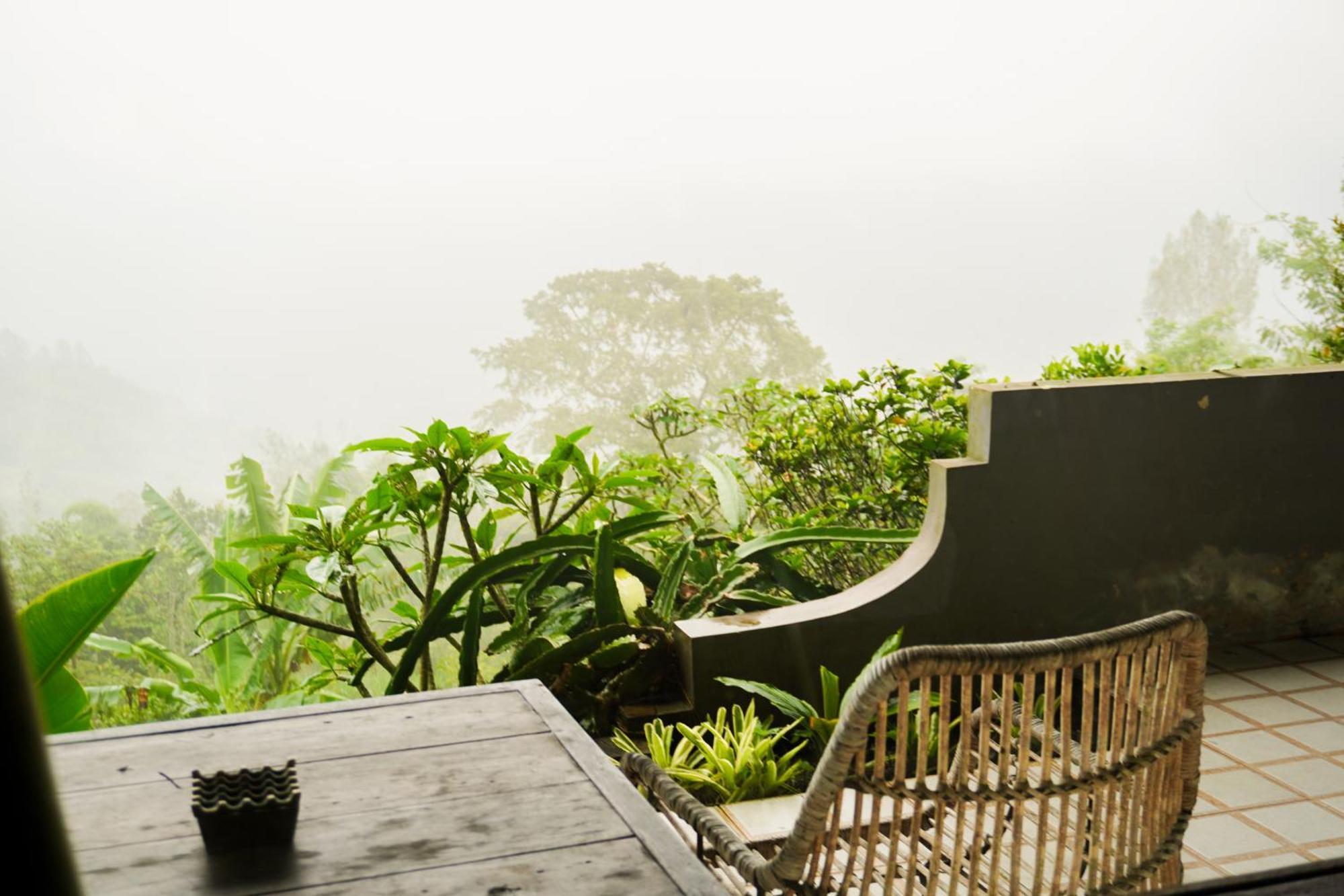 The Kayuan Kintamani (Bali)