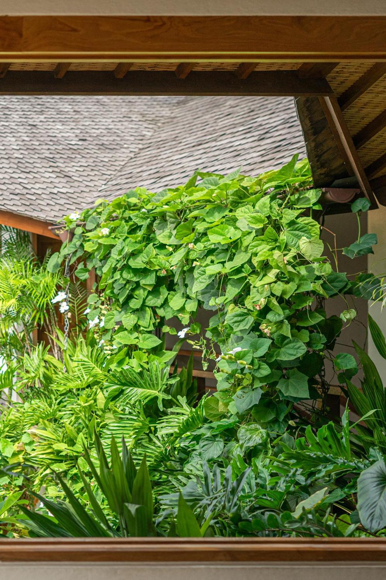 Kauh - Luxury Tropical 5br Close To Pererenan