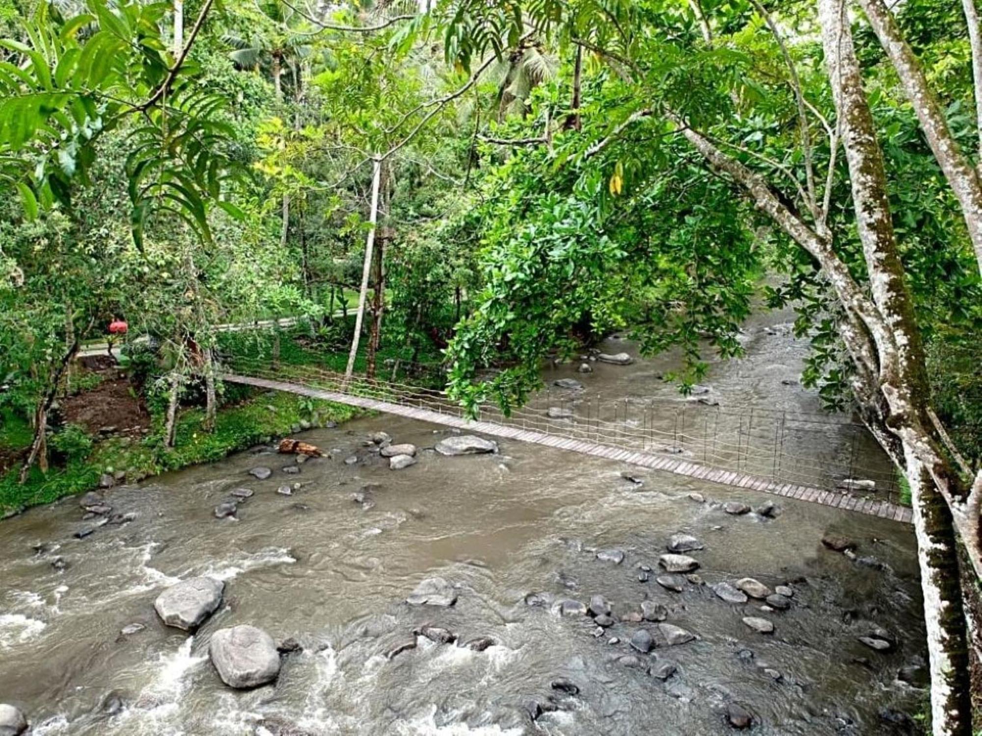 Permata Ayung Private Estate (adults Only)