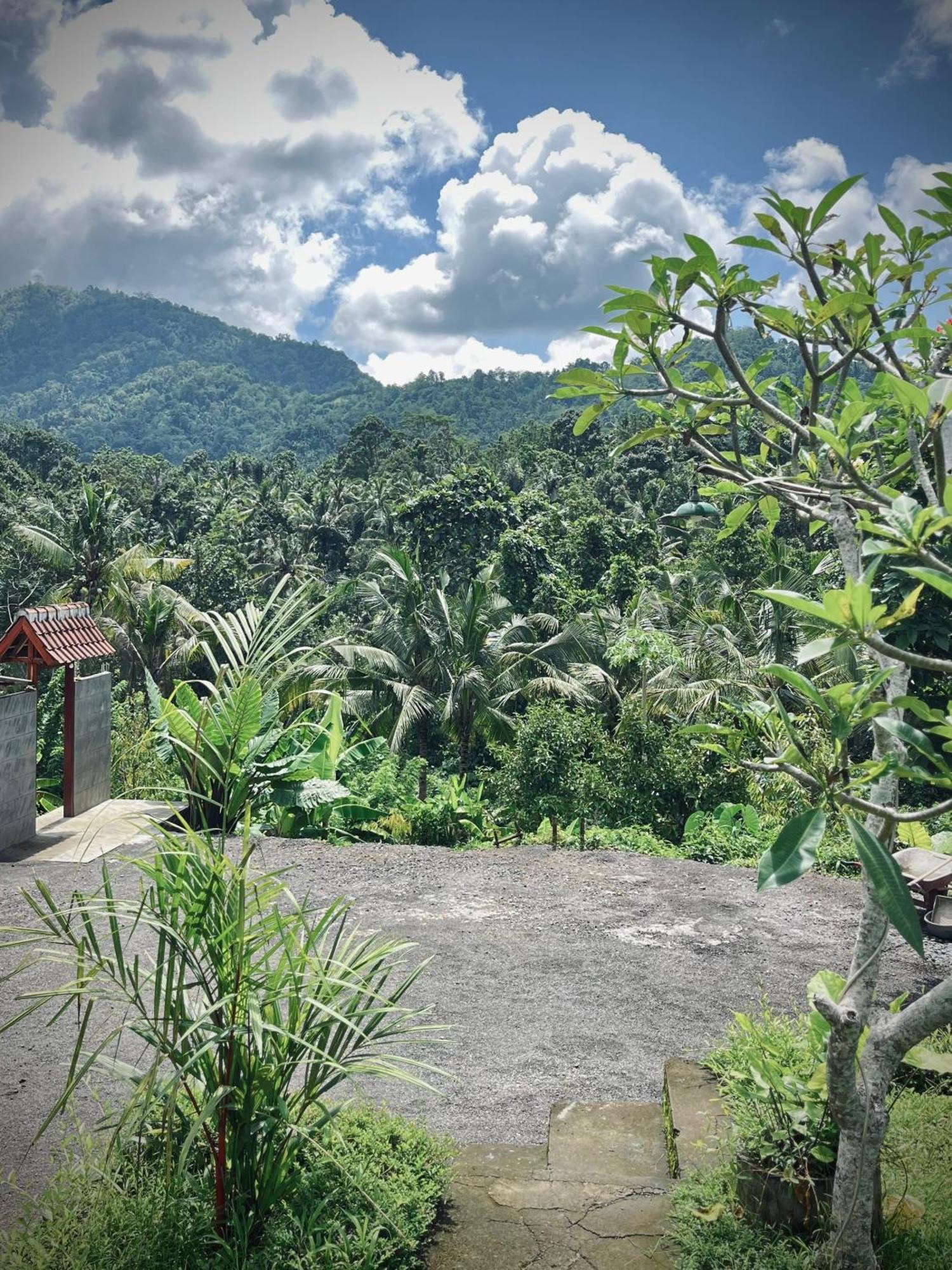 Papahan Bali Hotel Sidemen (Bali)