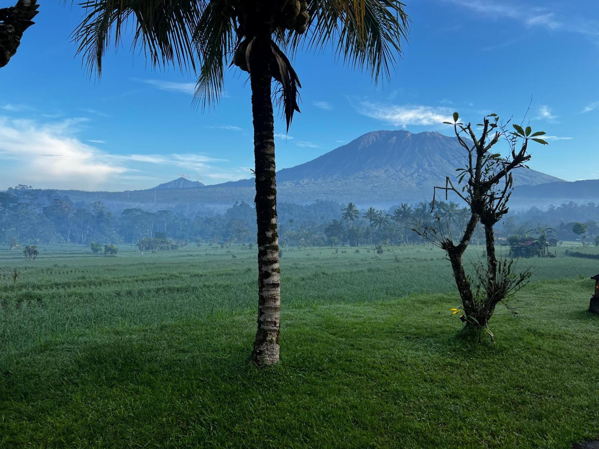 Great Mountain Views 3* Selat