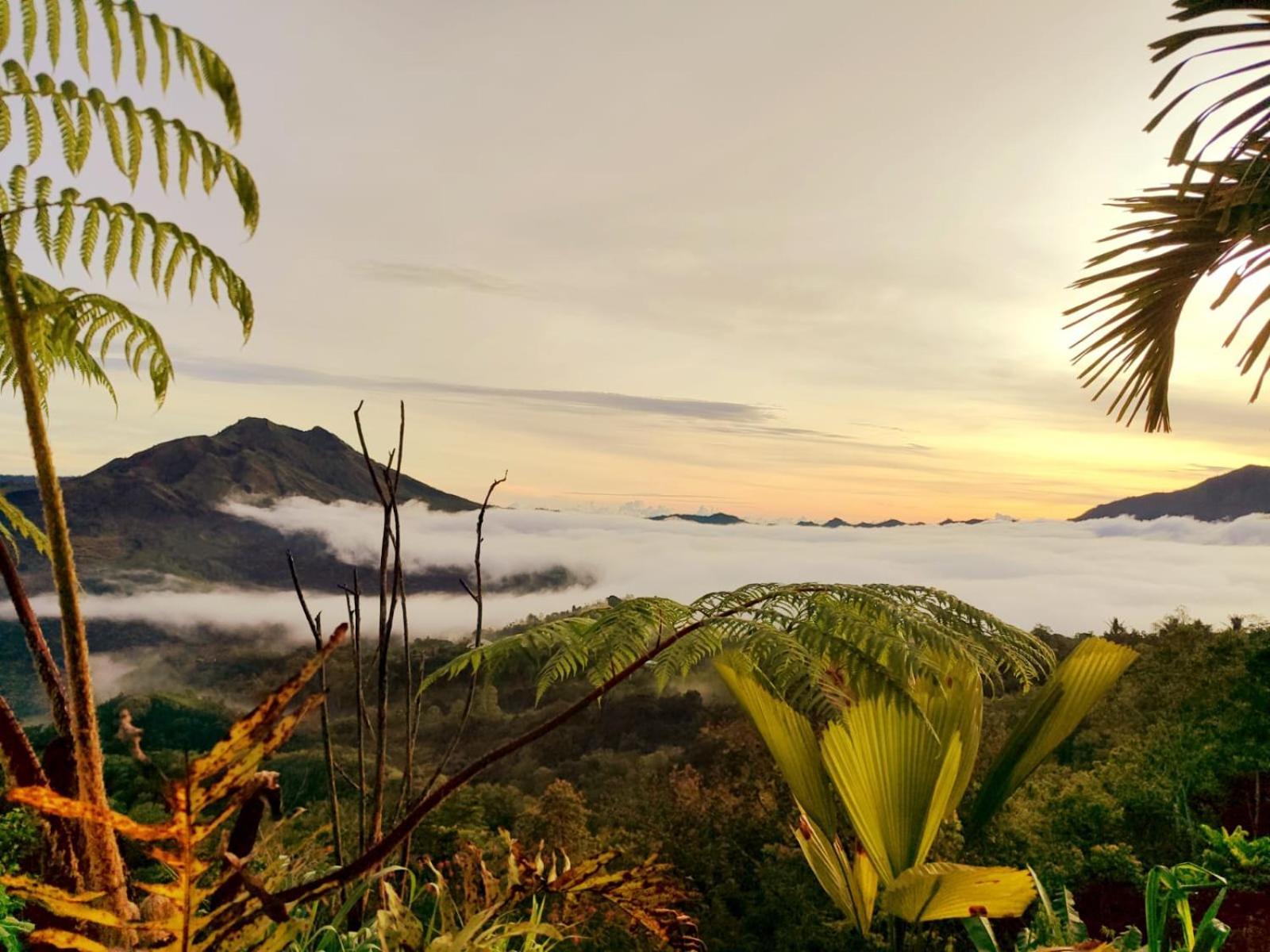 Batur View - Loft * Kintamani (Bali)