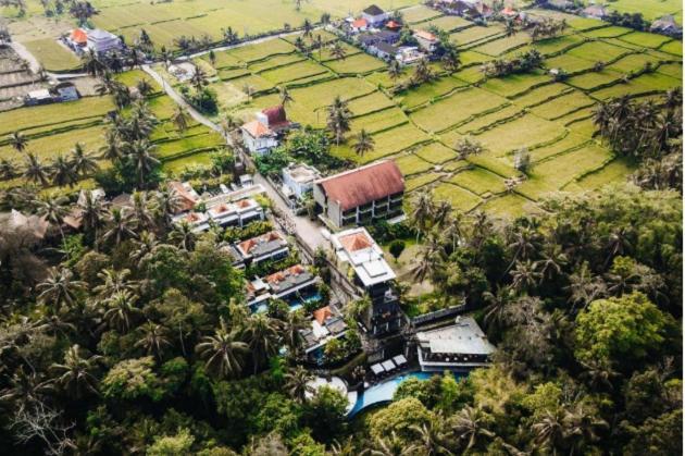 The Ning Resort