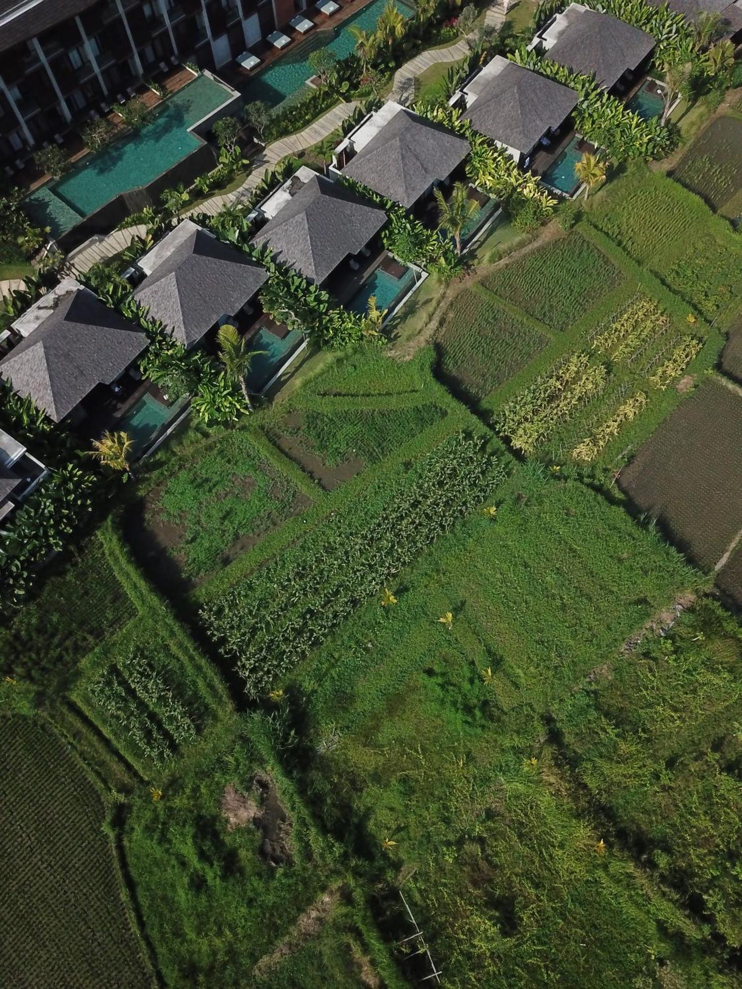 The Garcia & Resort Ubud (Bali)