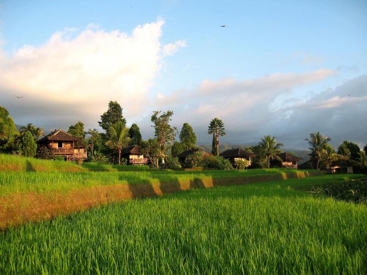 Puri Lumbung Restaurant&spa