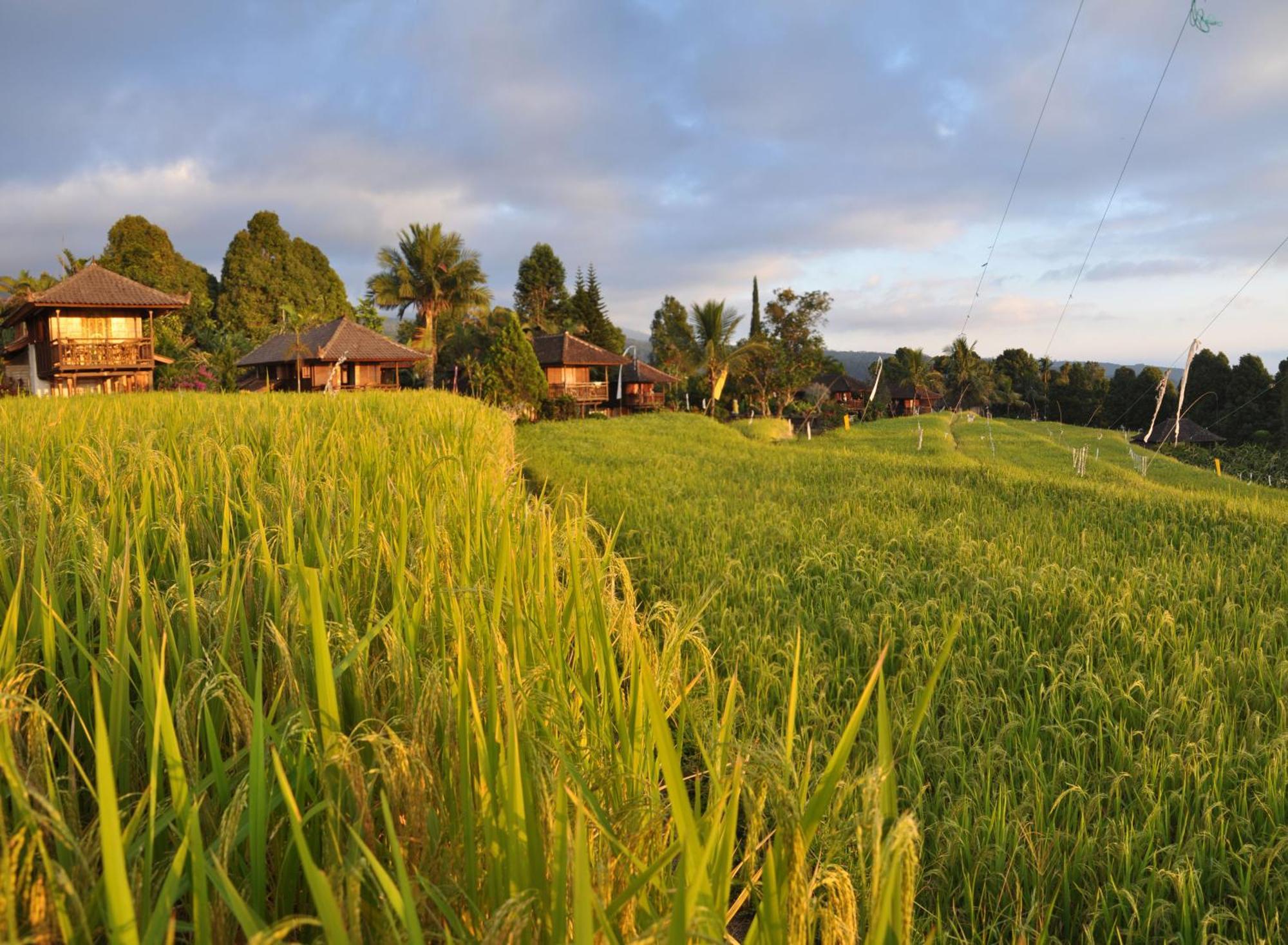 Puri Lumbung Restaurant&spa Taman liburan 2*