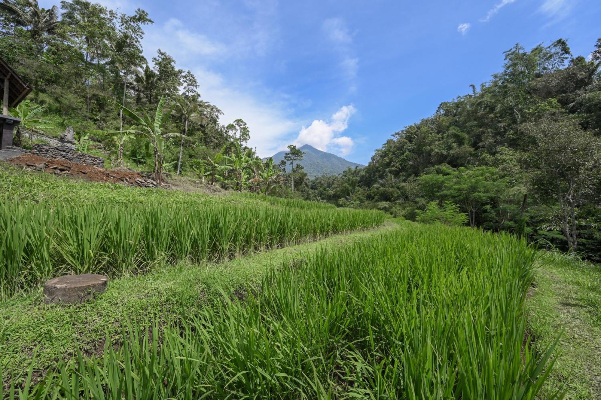 Villa Keuma & Resto By The Lavana *