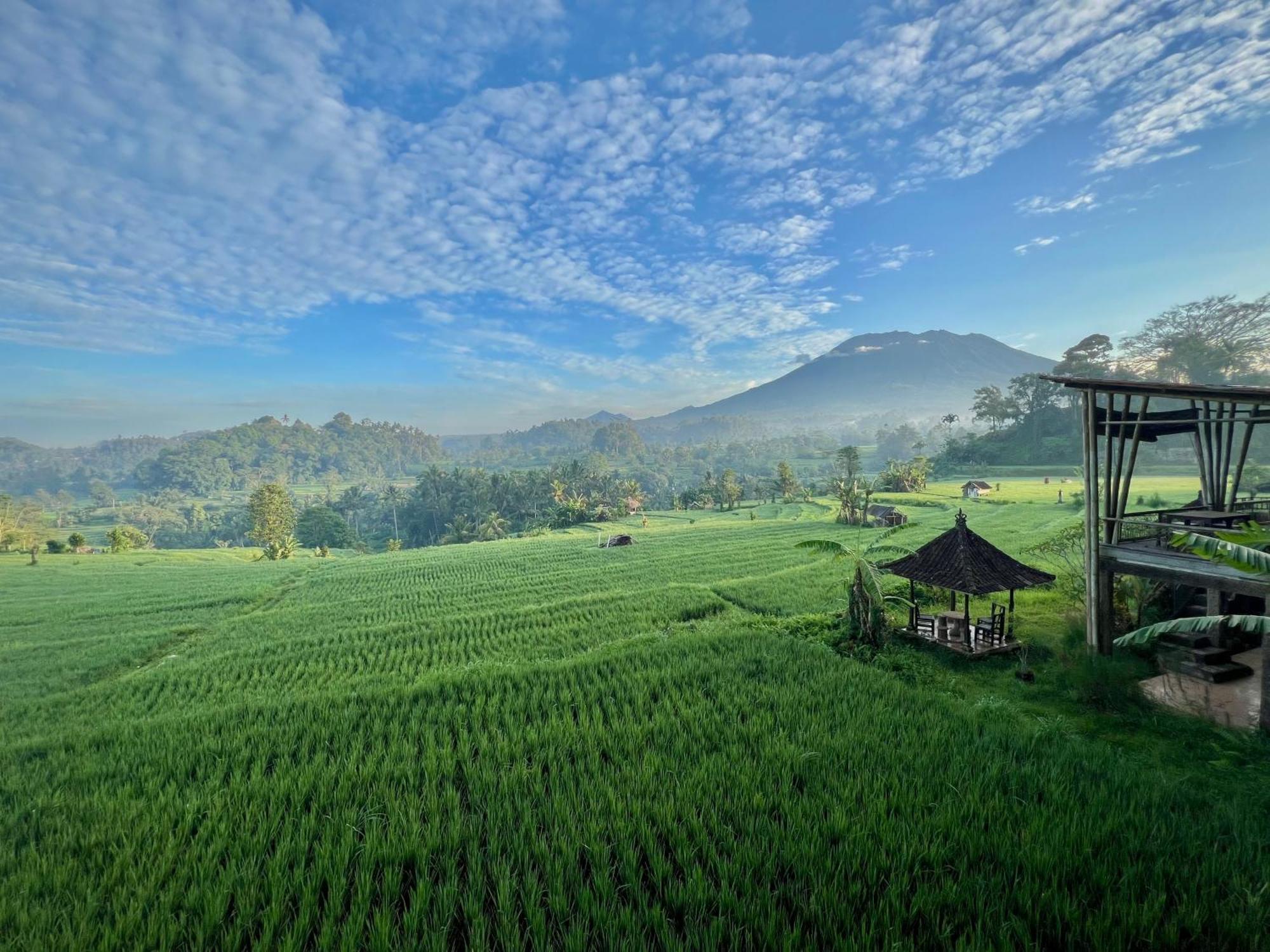 Bisbis House Iseh Village *