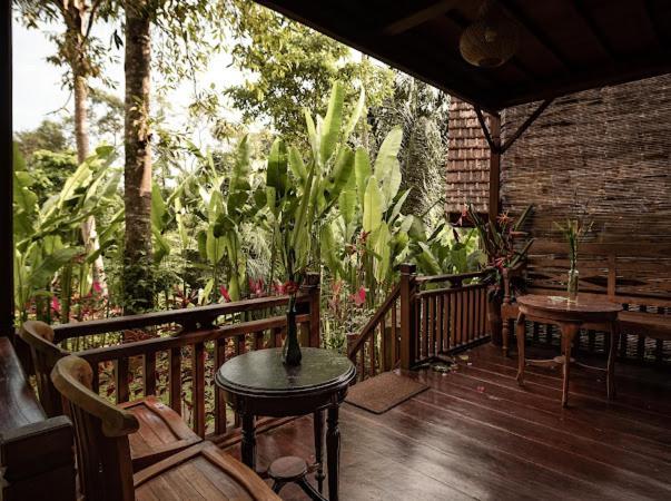 The Jungle Villa