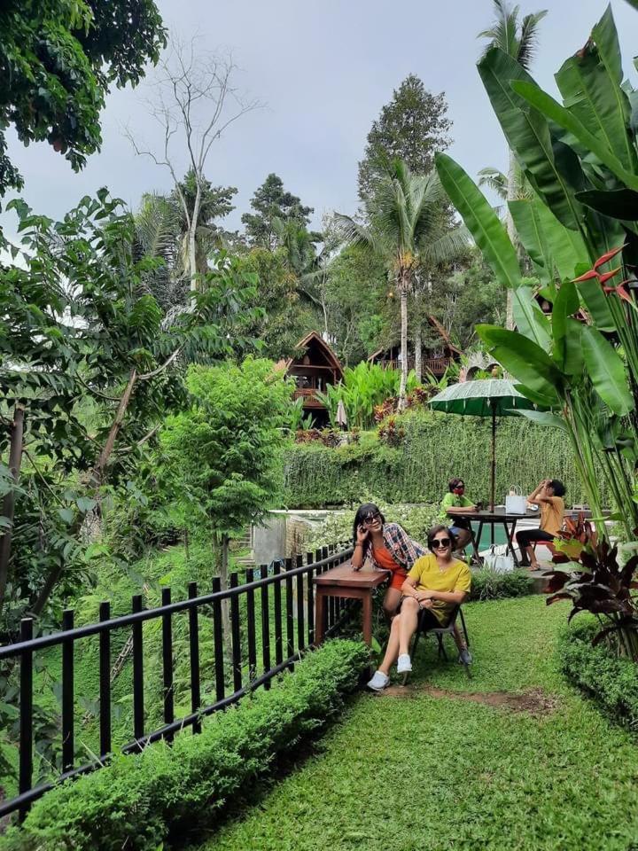 The Jungle *