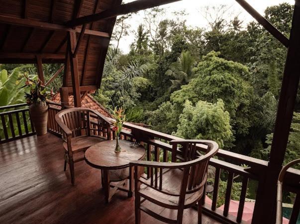 The Jungle Villa