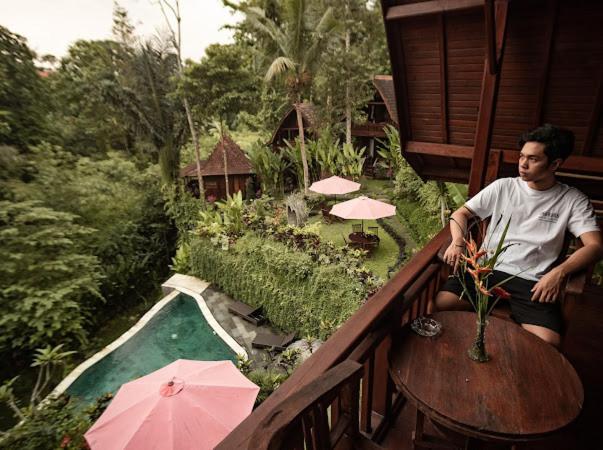 Villa The Jungle Ubud (Bali)