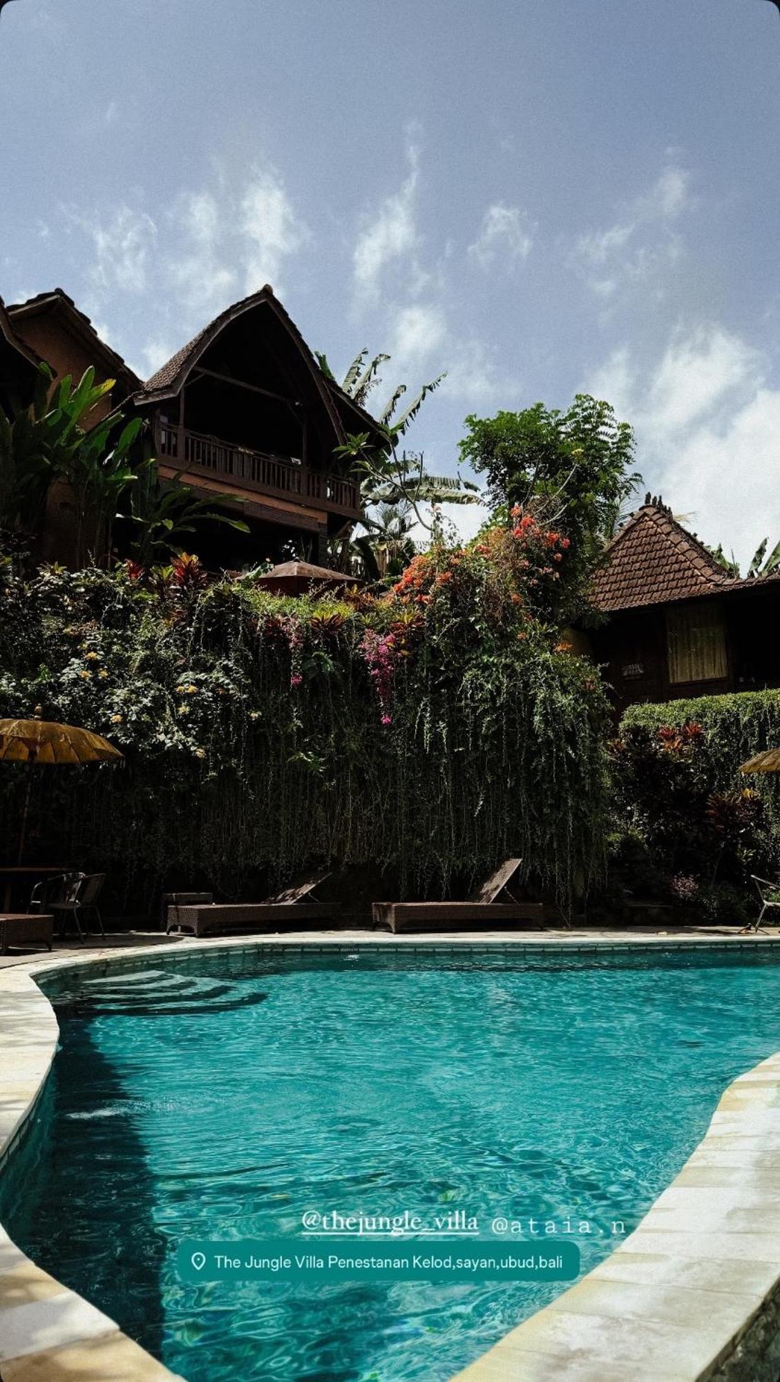 The Jungle * Ubud (Bali)