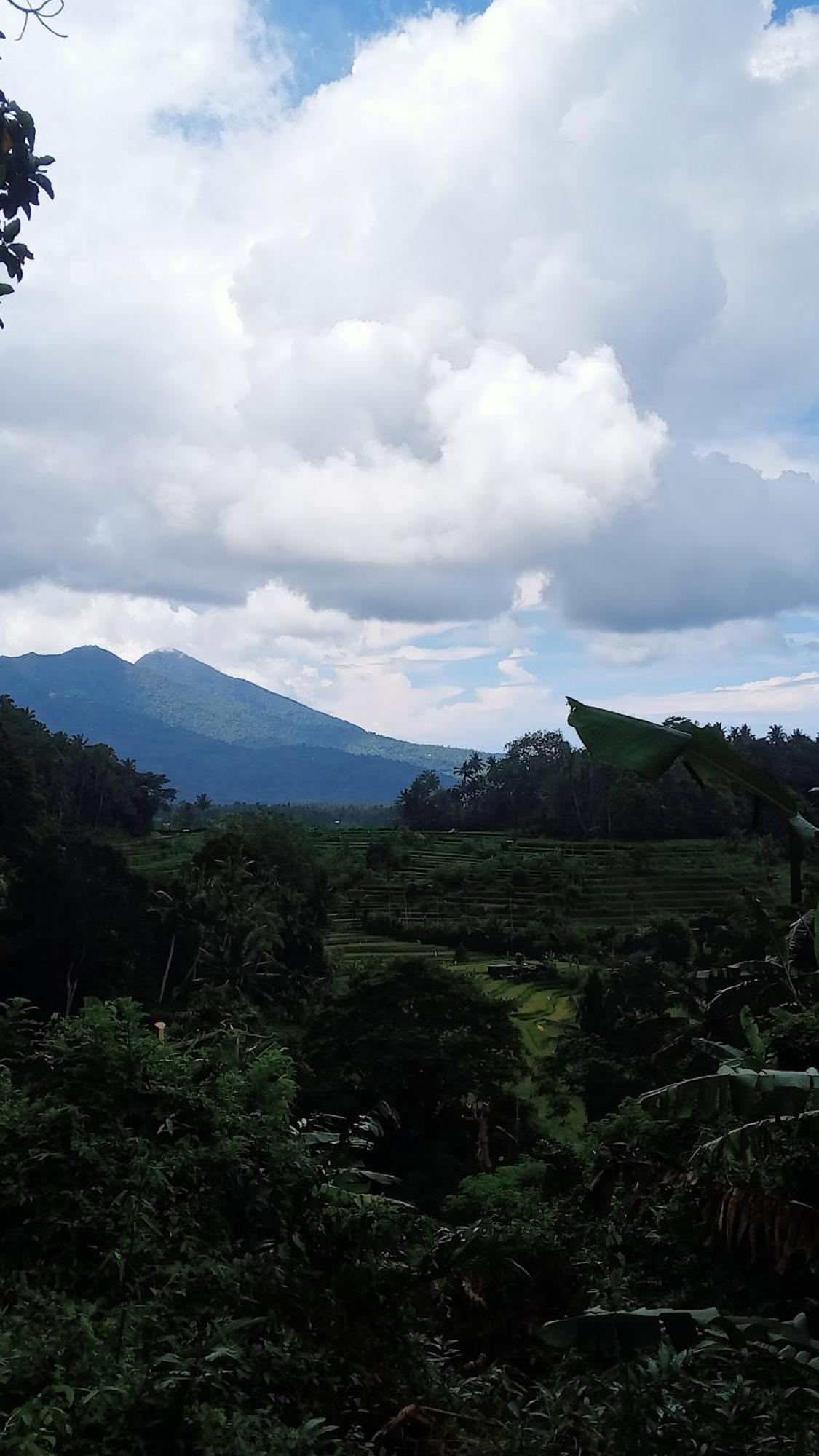 Inn Alamku *