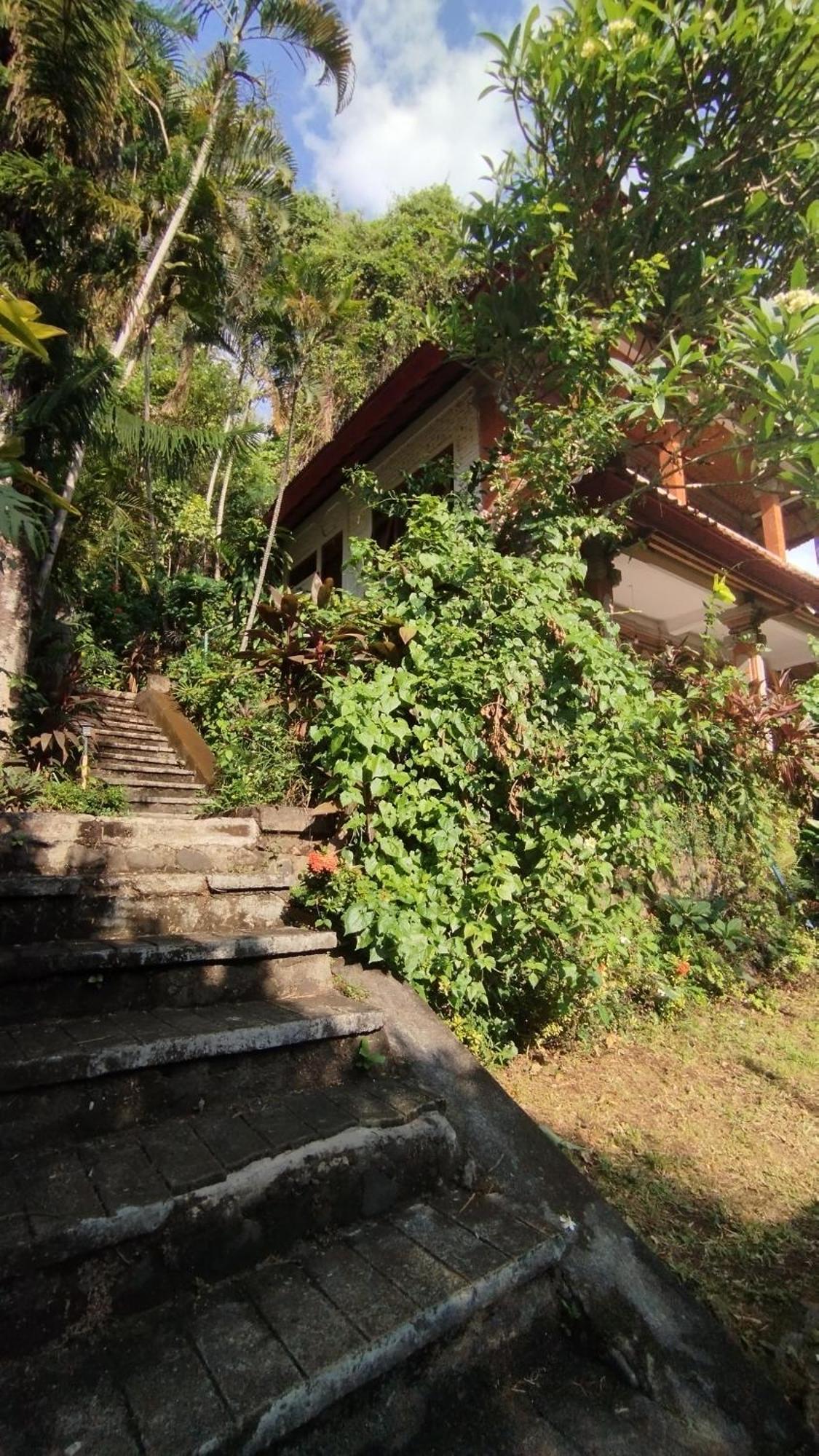 Wisata Grya Sari Guest house Banjar (Bali)