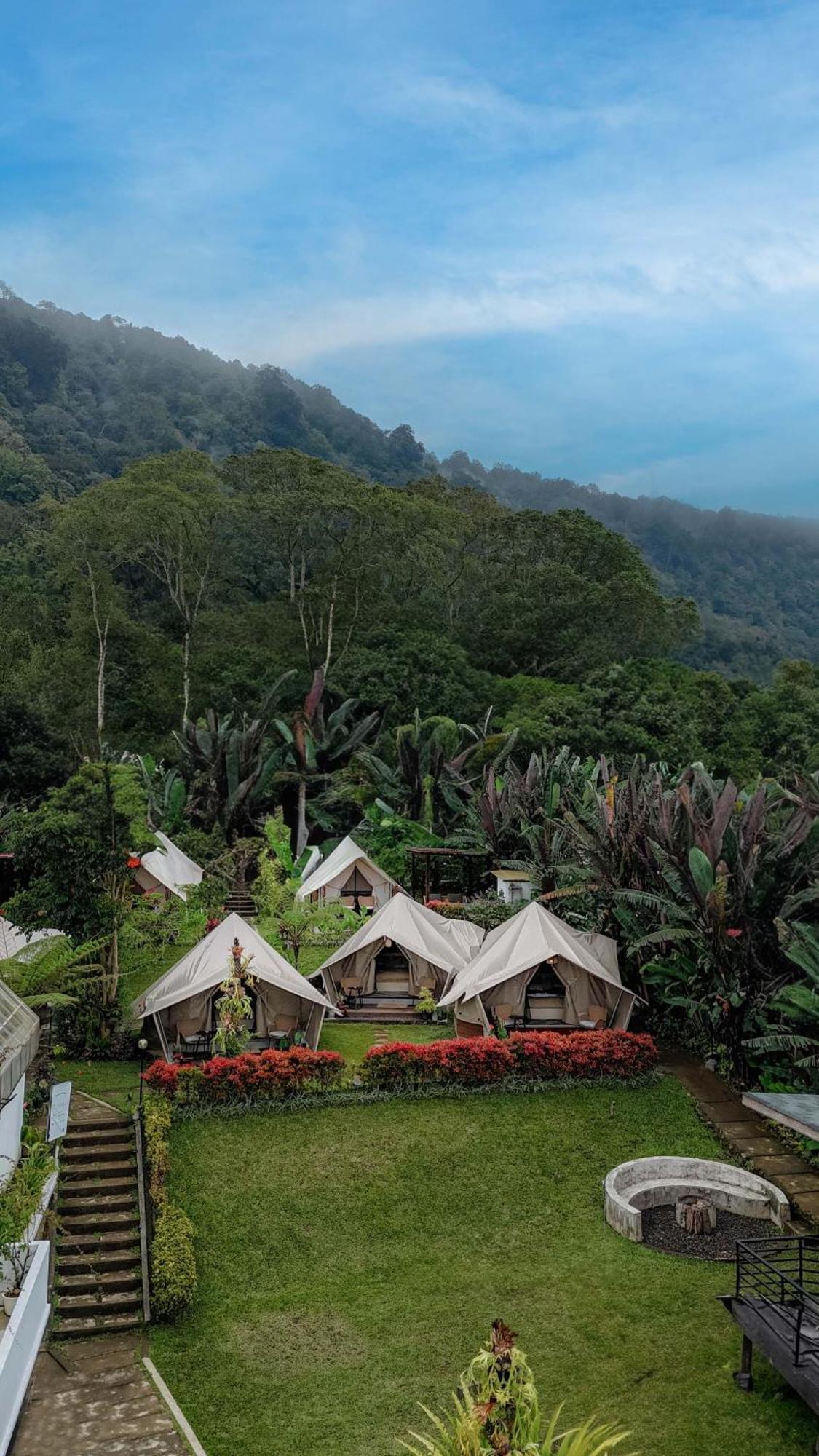 Luxury tent Alamu Eco *