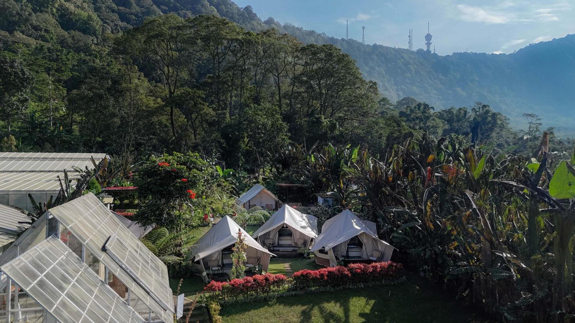 Alamu Eco * Bedugul (Bali)