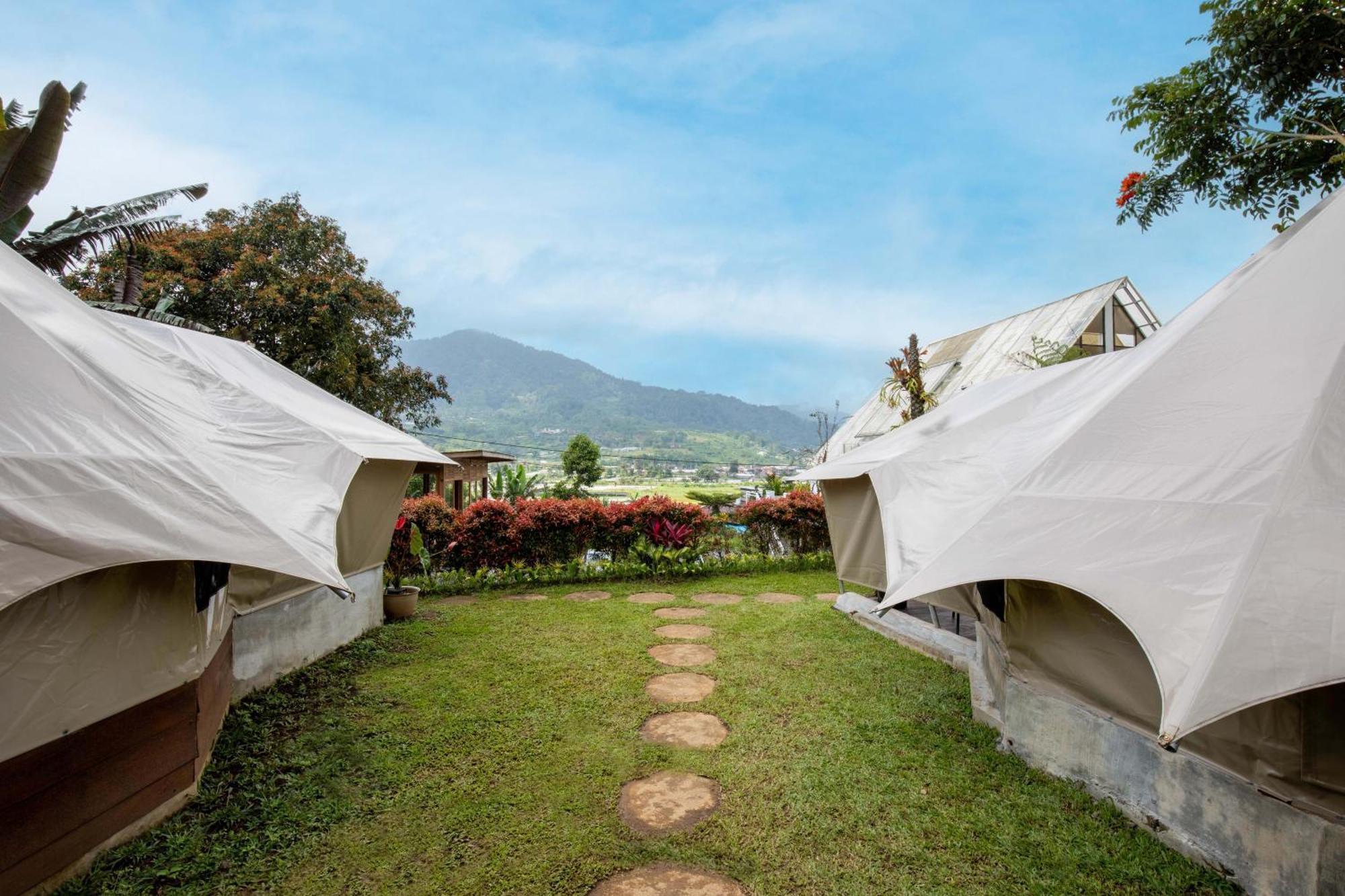 Luxury tent Alamu Eco