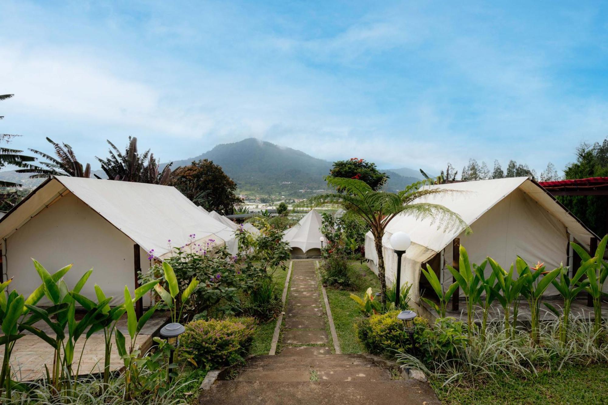 Alamu Eco Luxury tent