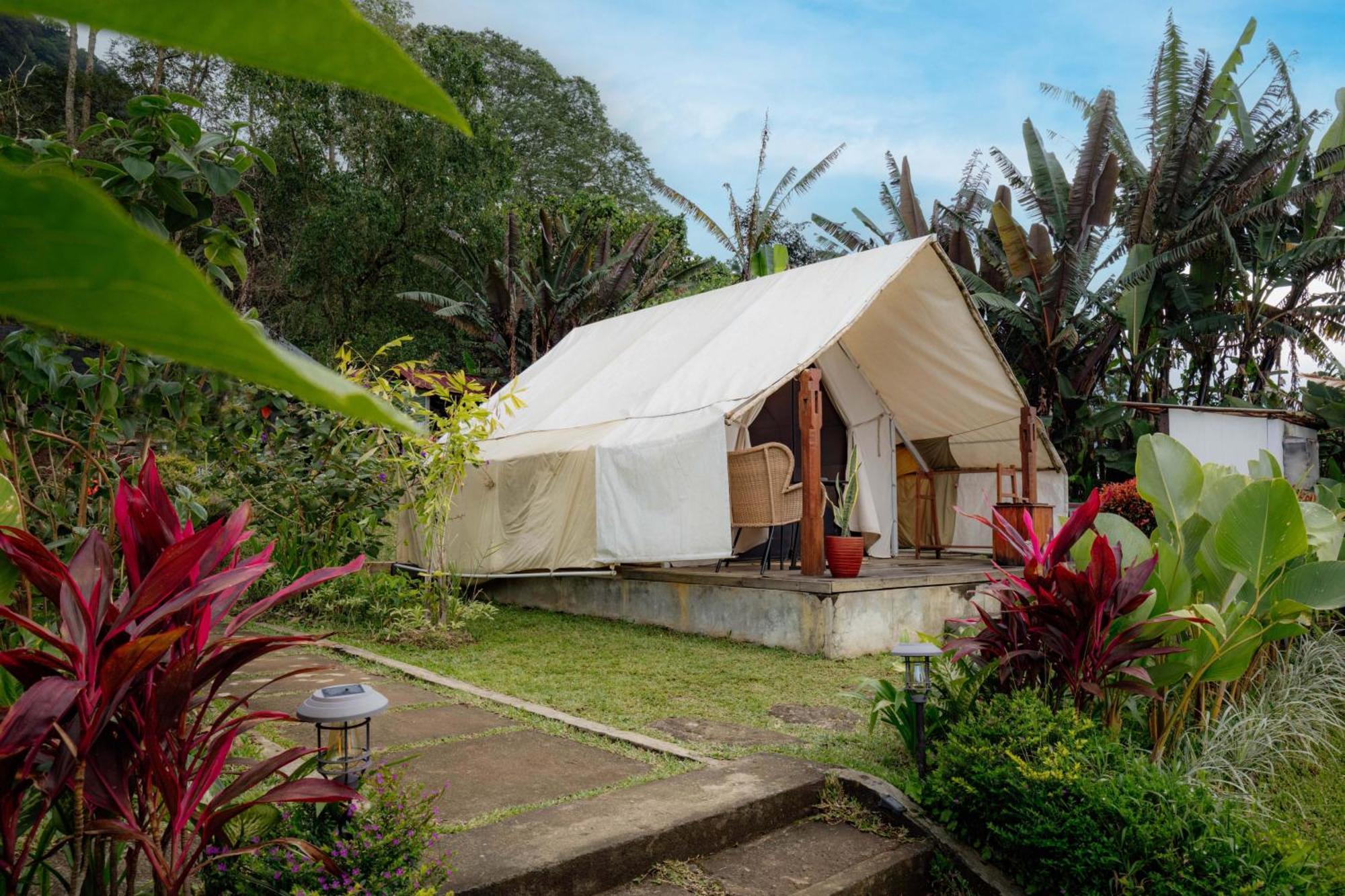 Luxury tent Alamu Eco
