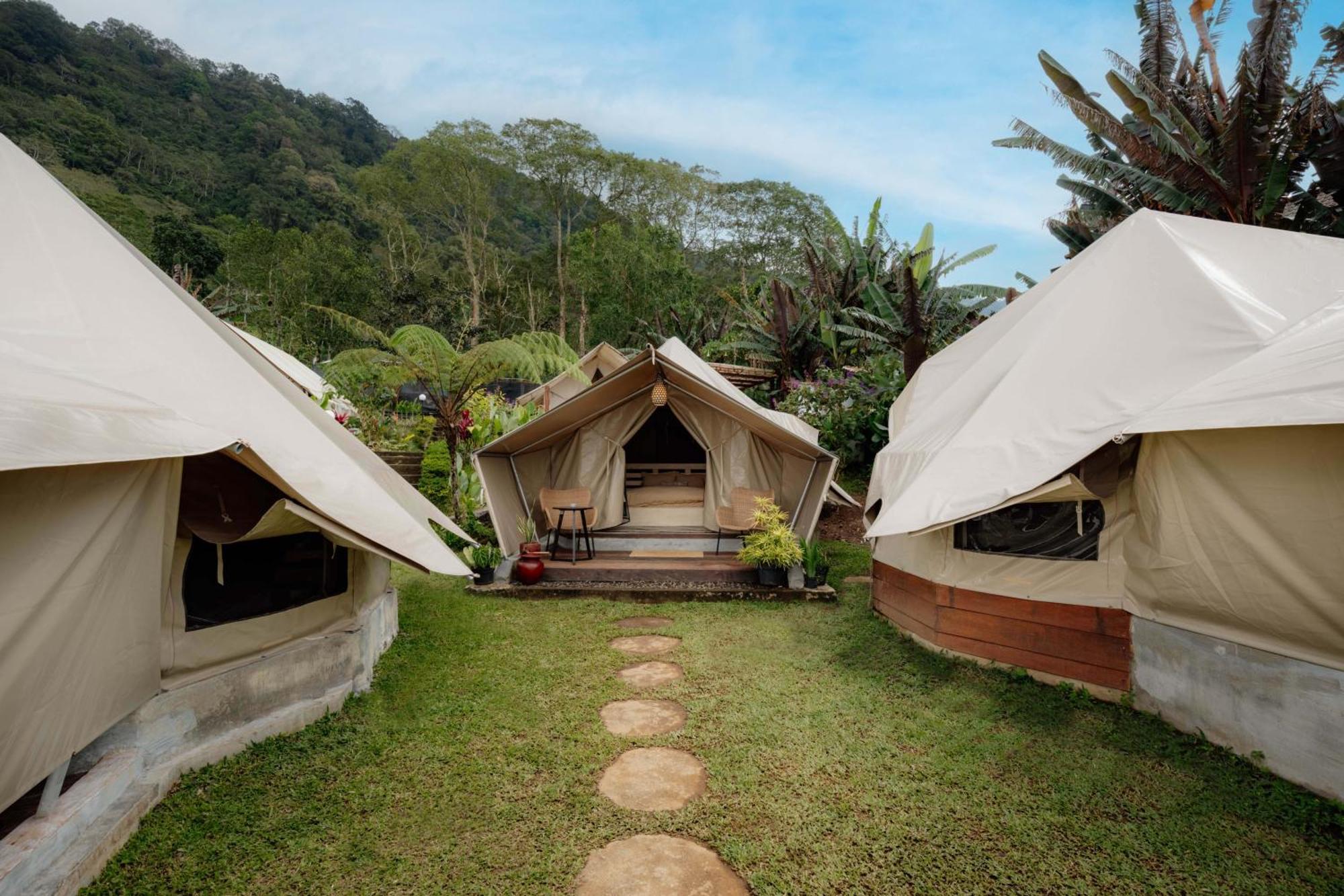 Alamu Eco Luxury tent *