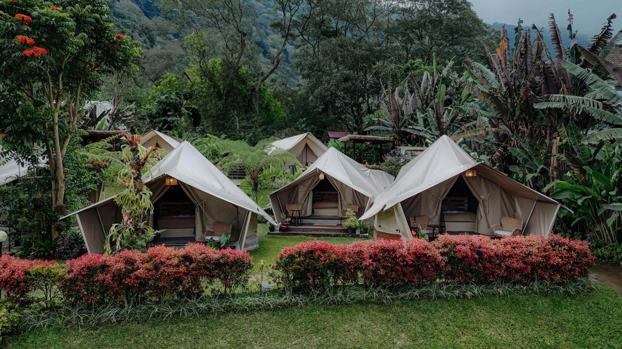 Luxury tent Alamu Eco *
