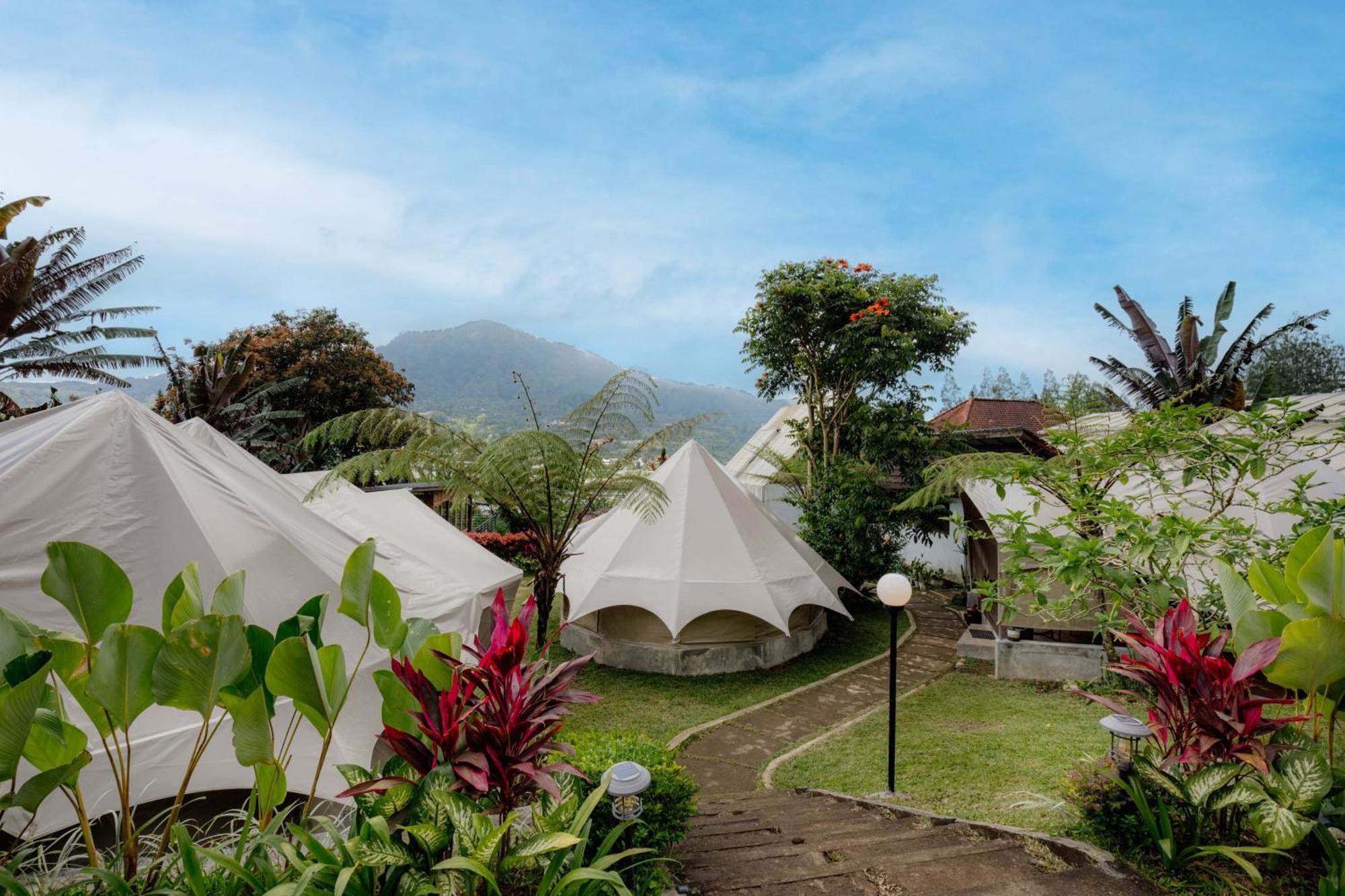 Alamu Eco Bedugul (Bali)
