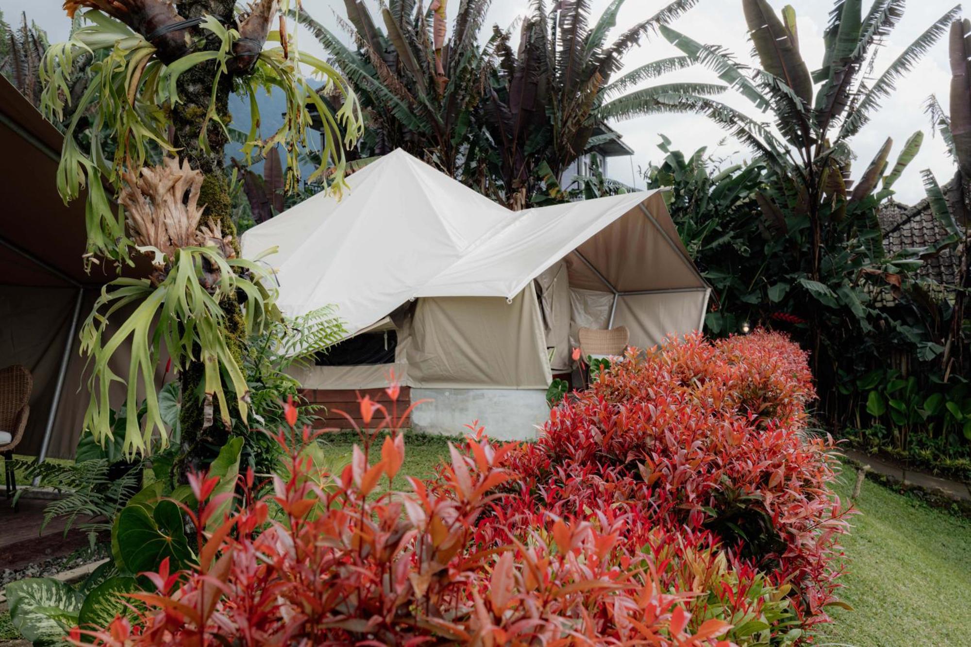 Alamu Eco Luxury tent