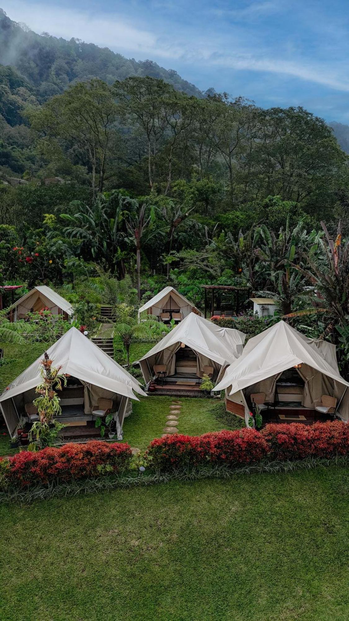 Alamu Eco Luxury tent *