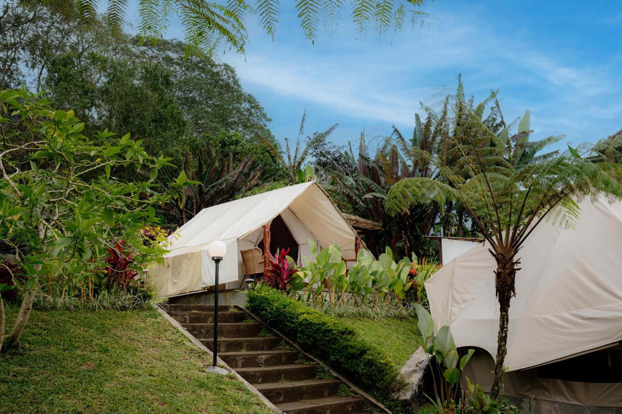 Alamu Eco Luxury tent Bedugul (Bali)