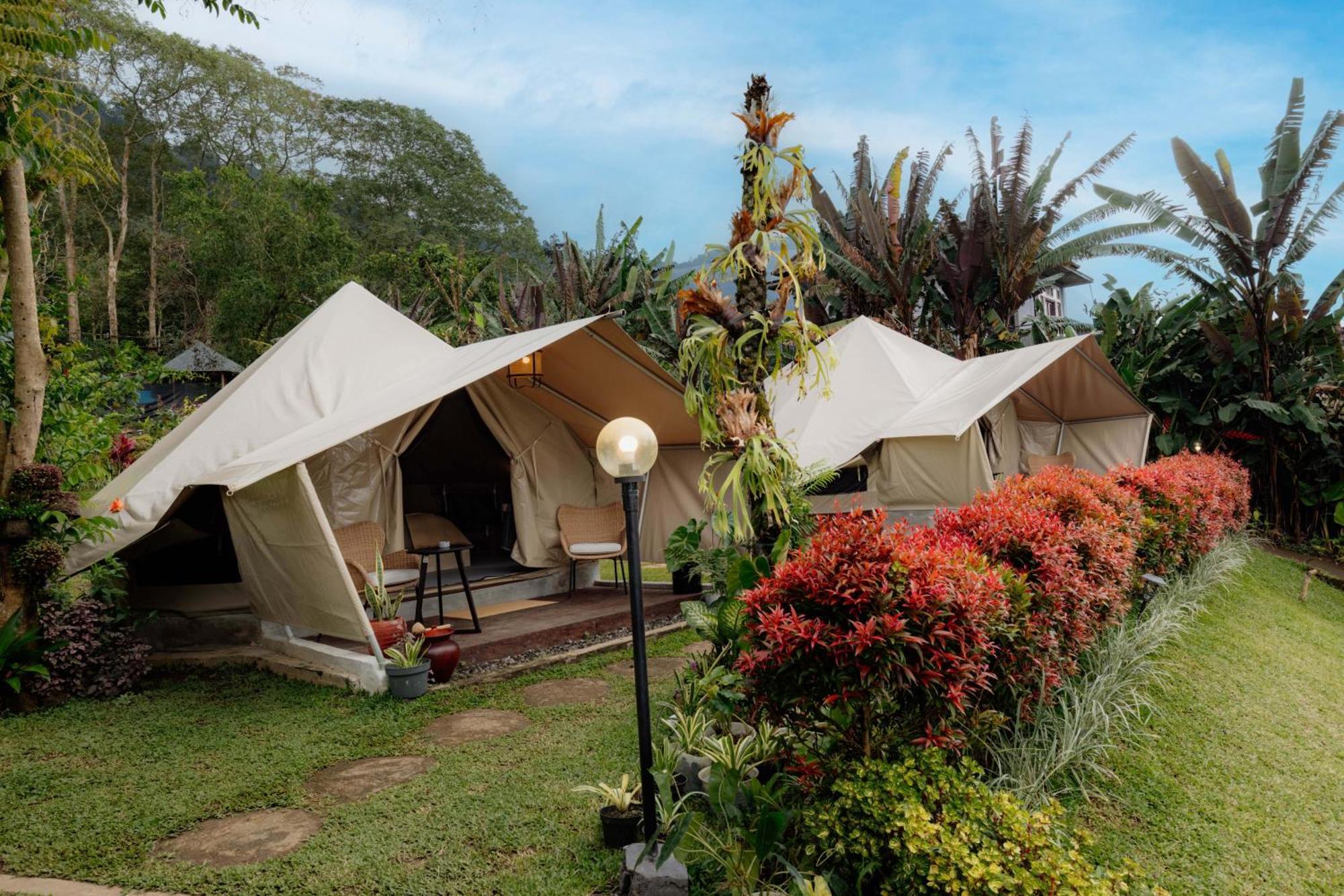 Alamu Eco Luxury tent *