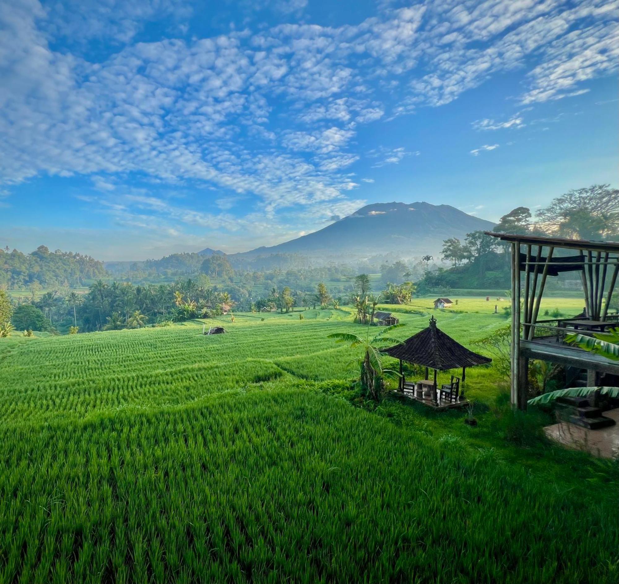 Wisma tamu Bisbis House Iseh Village Selat