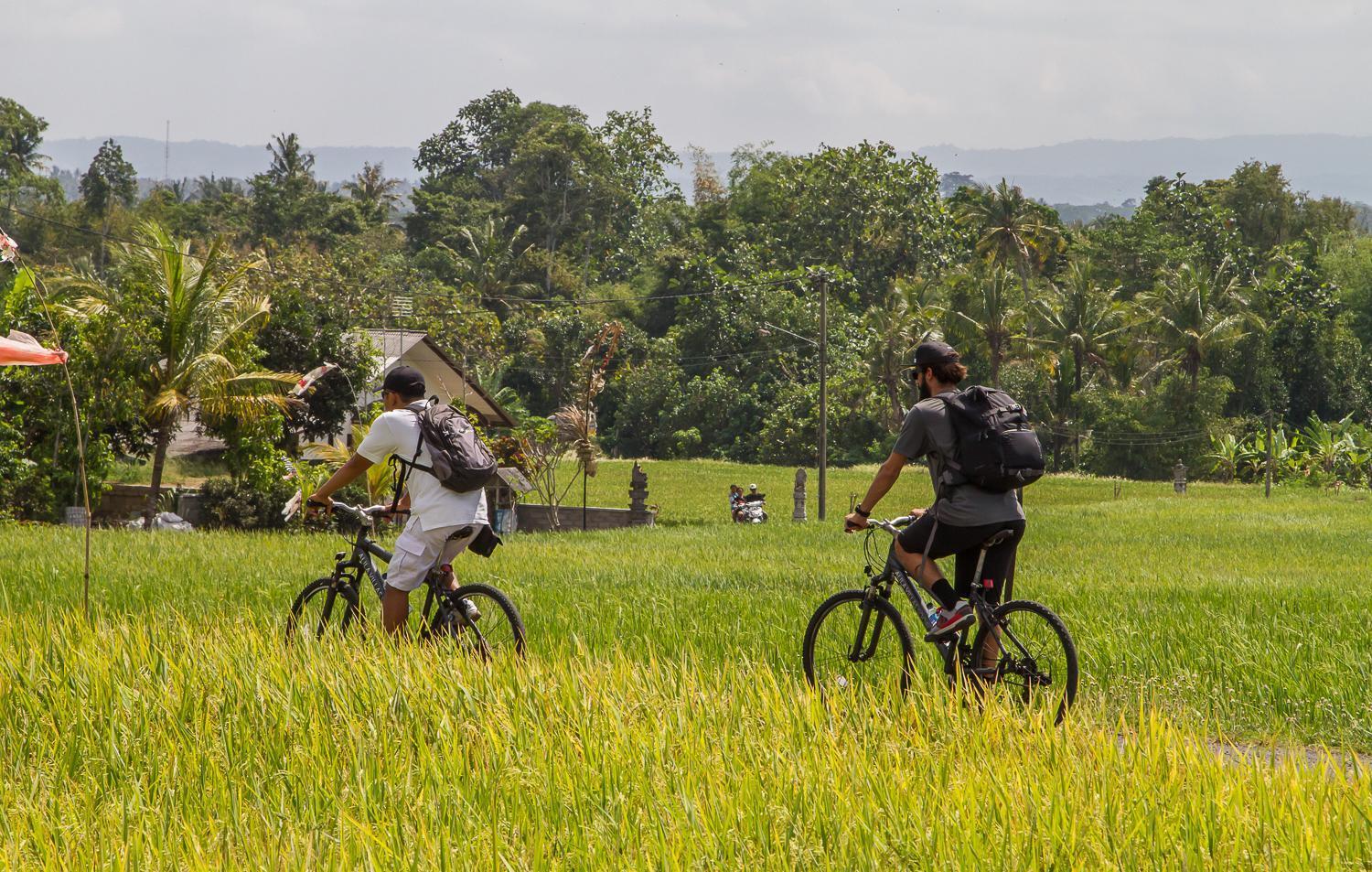 Villa Soori Bali Tabanan (Bali)