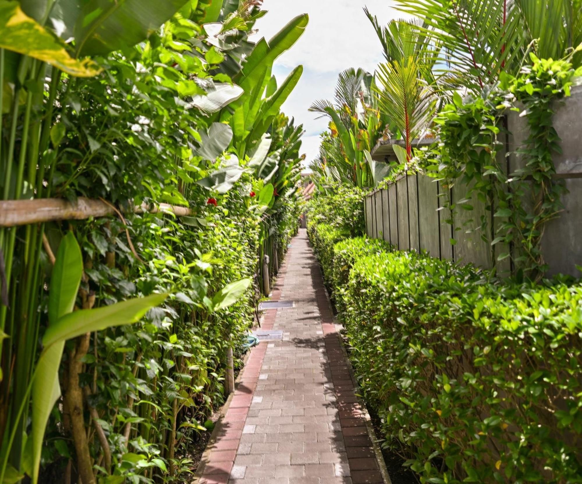 Wooden Paradise Canggu (Bali)