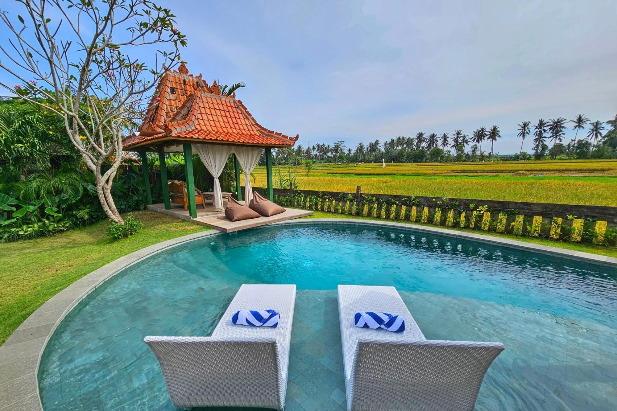 Diyara - 6000 Sq Ft Private - Stunning Rice Field View - Big Pool & Garden Villa Ubud (Bali)