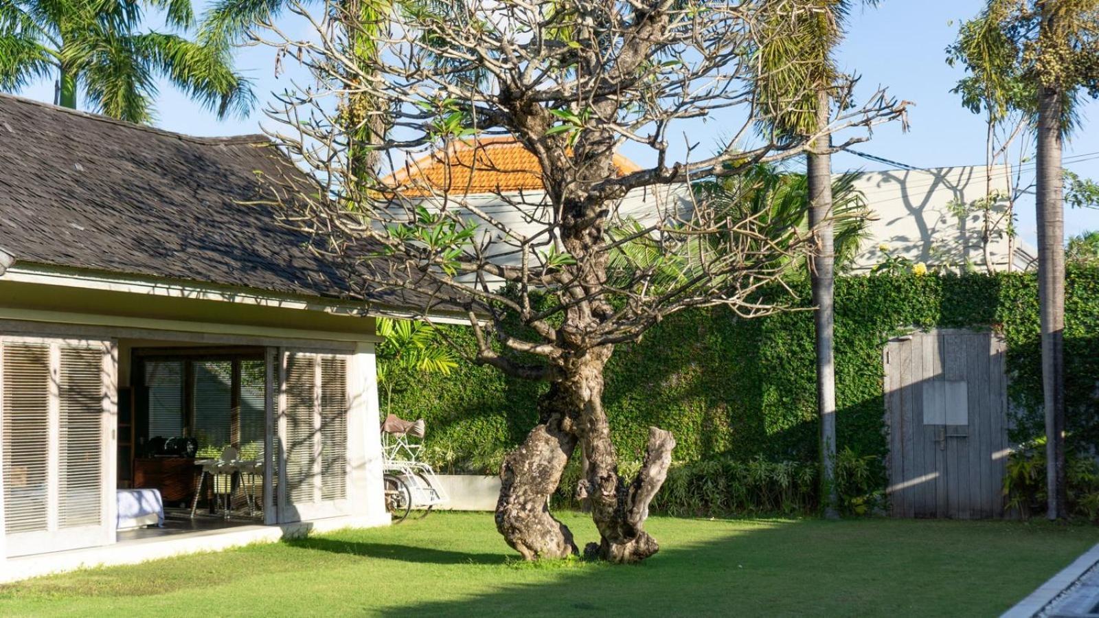 Casa Mateo