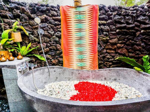 Bed & Breakfast Swarma Eco Jungle Retreat