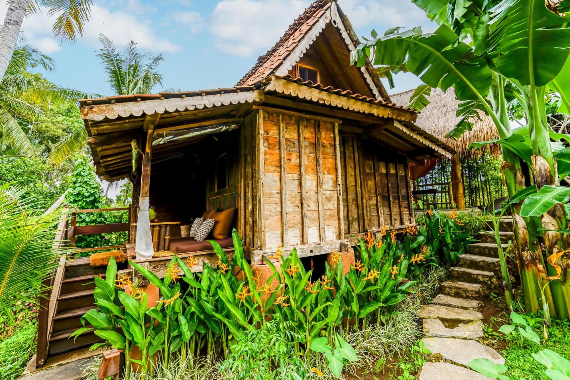 Bed & Breakfast Swarma Eco Jungle Retreat *