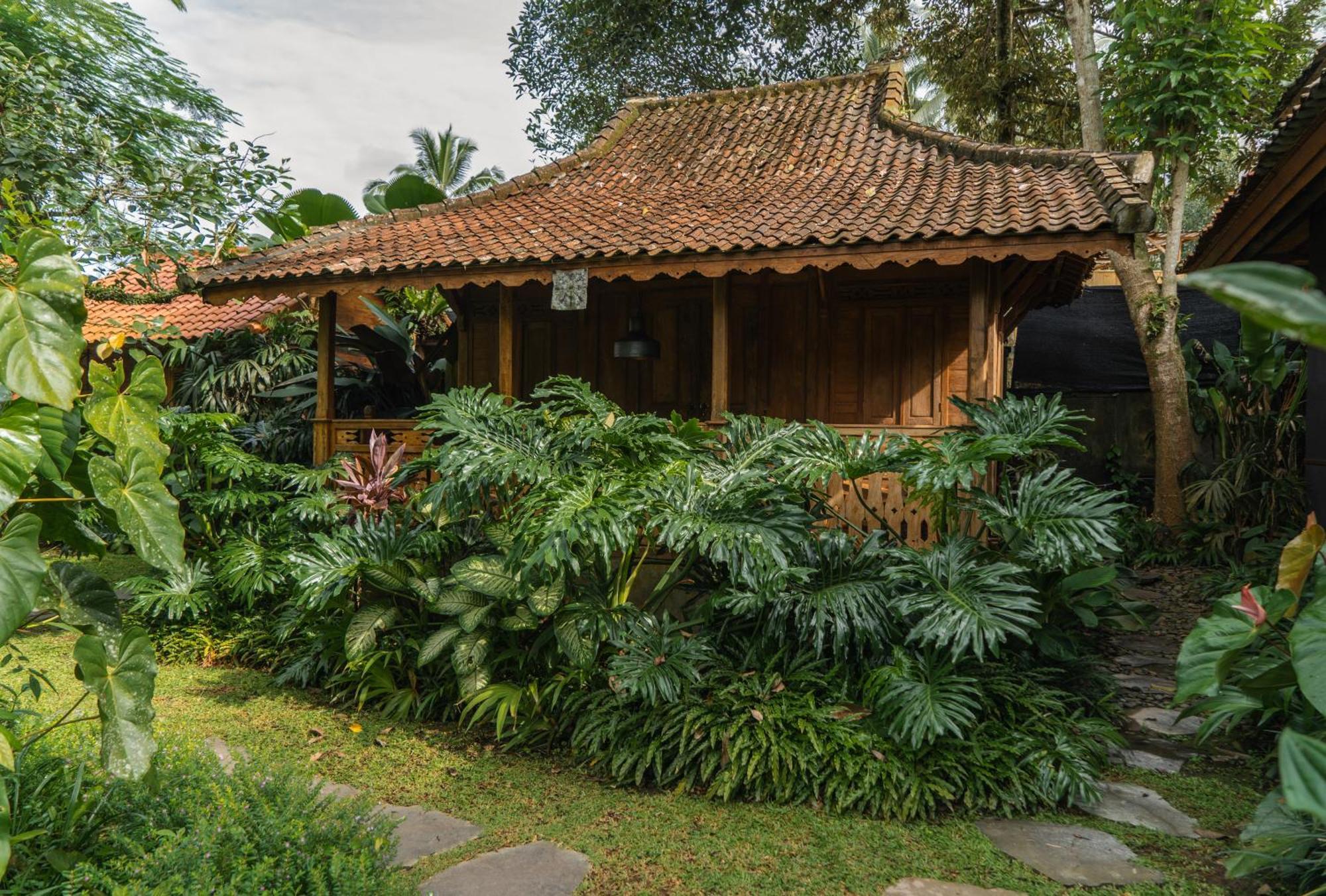 Dewi Tara Haven Bed & Breakfast