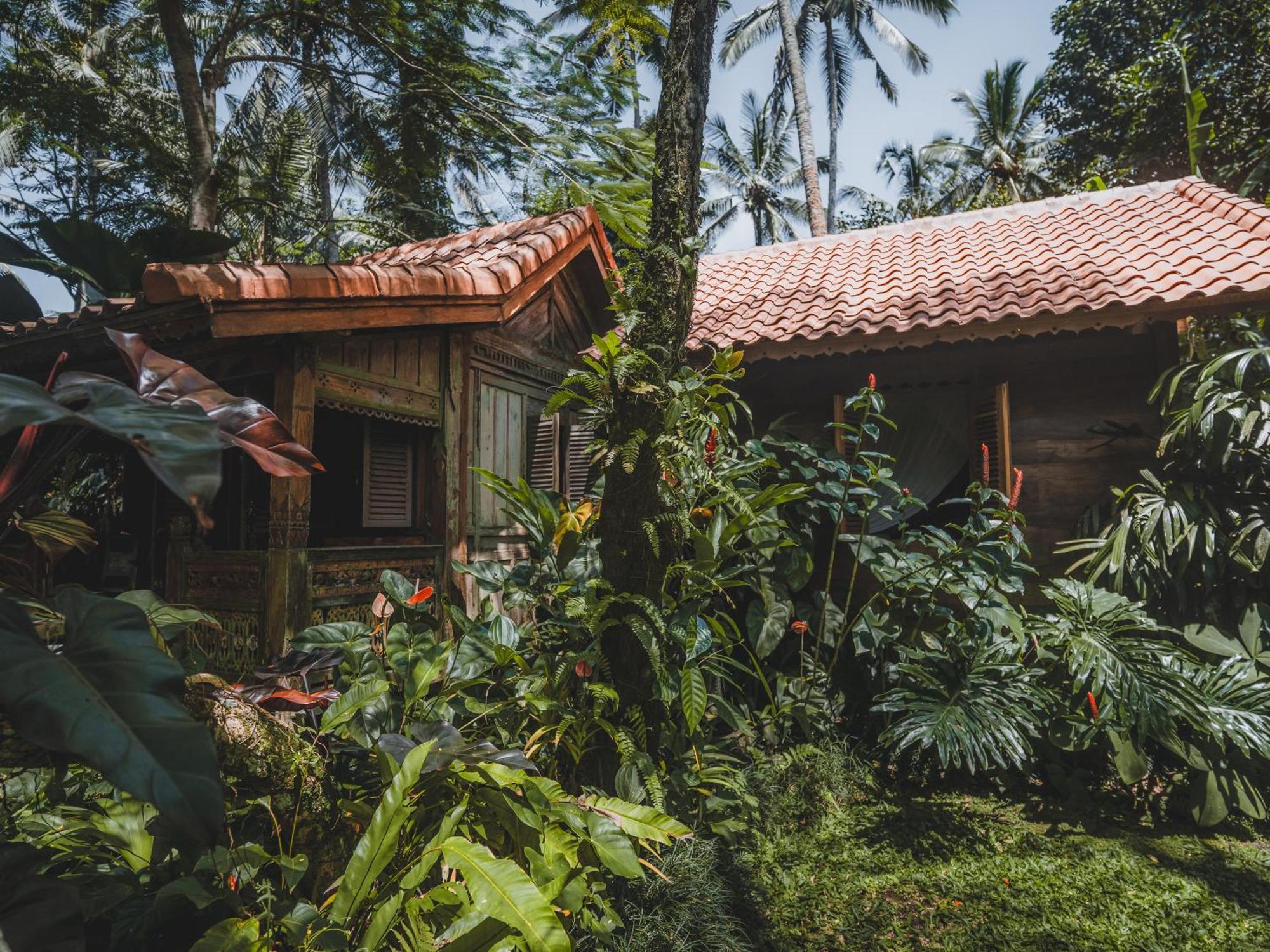 Dewi Tara Haven * Gianyar (Bali)