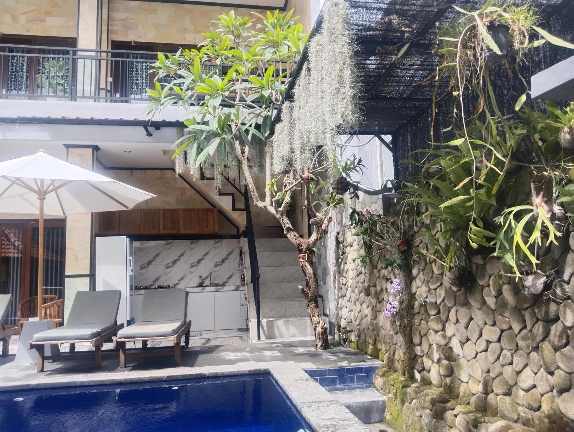 Leo * Canggu (Bali)