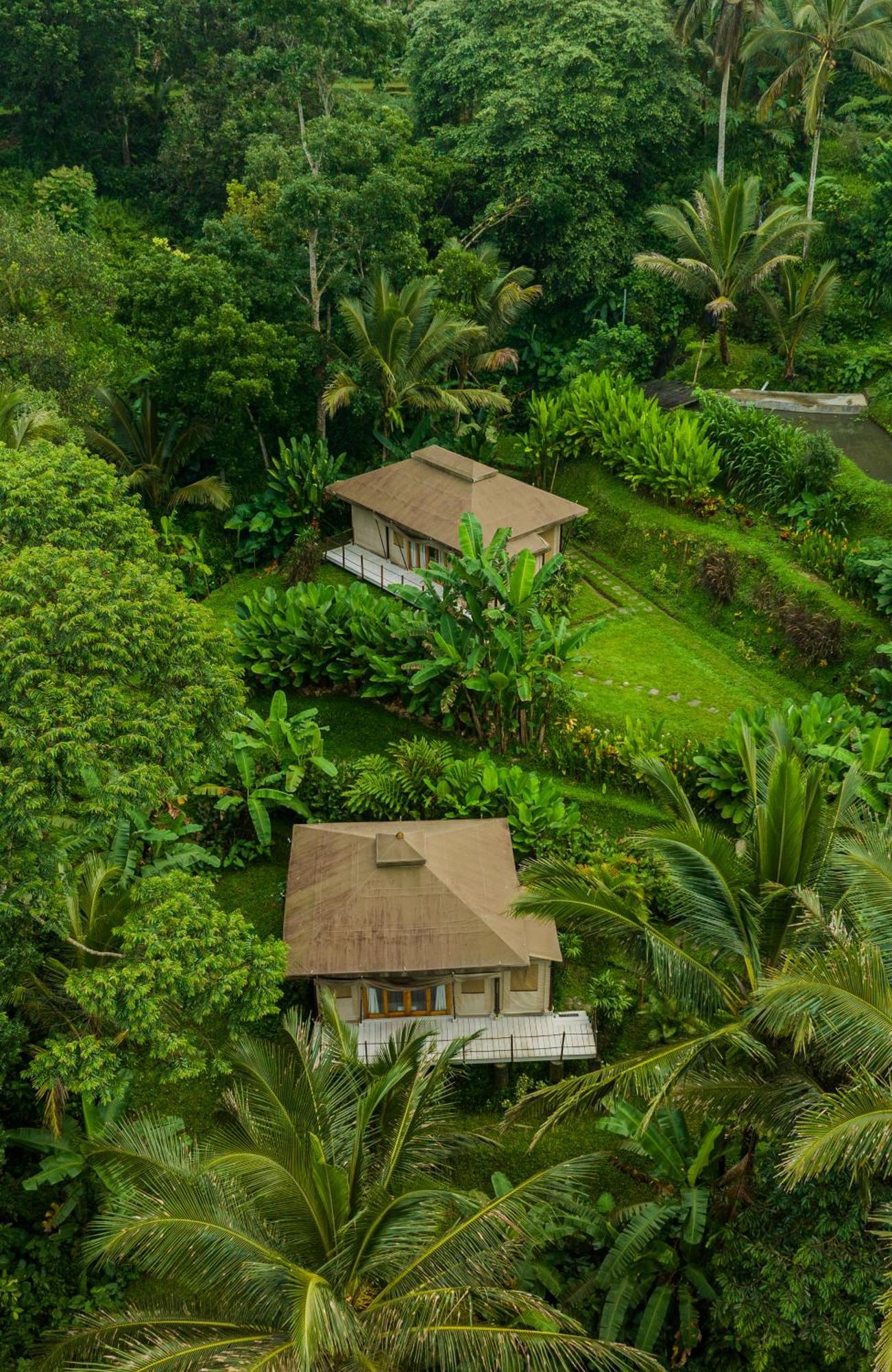 Luxury tent Nadi Nature - Adults Only *