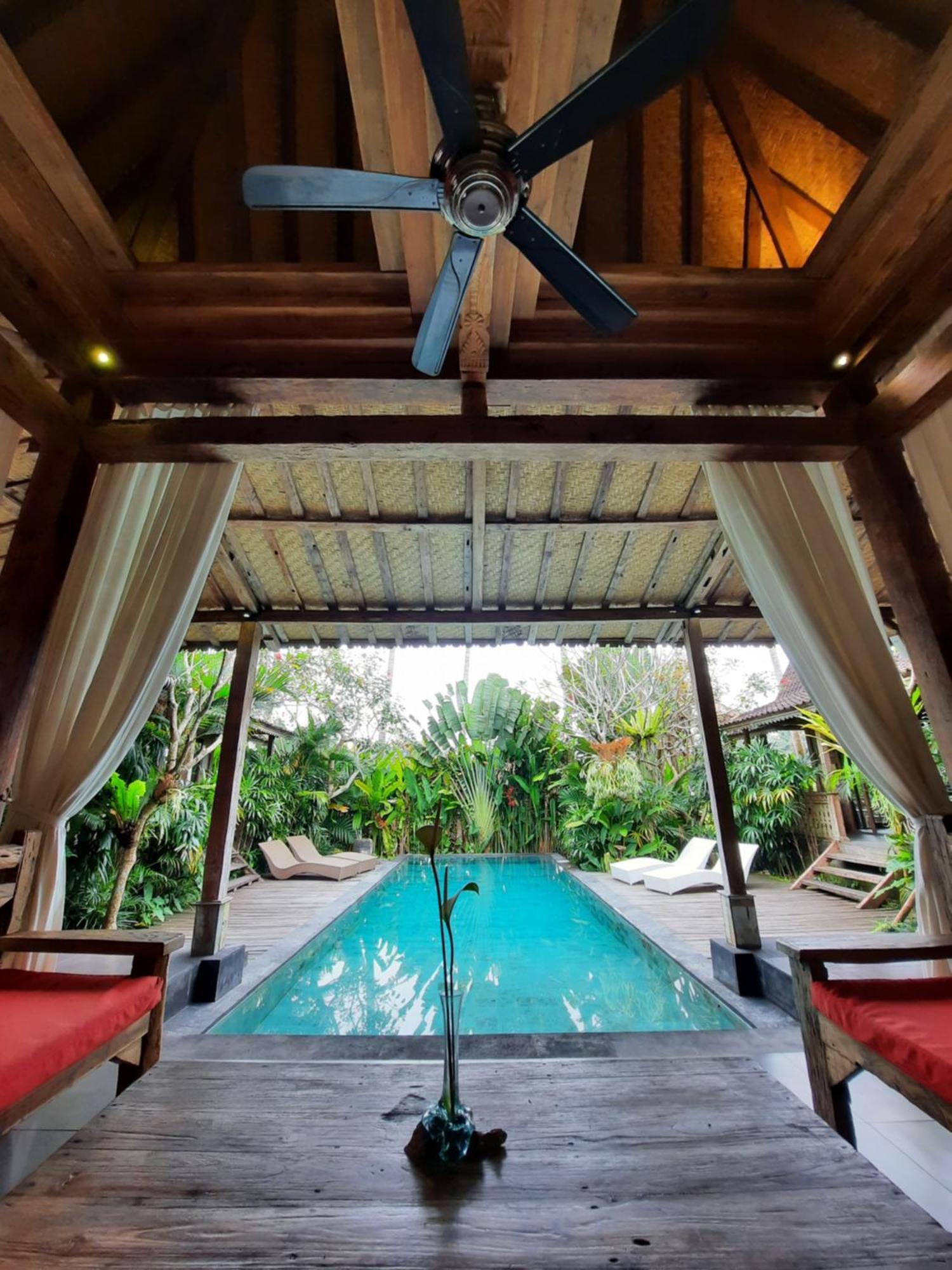 Virgin Villa *
