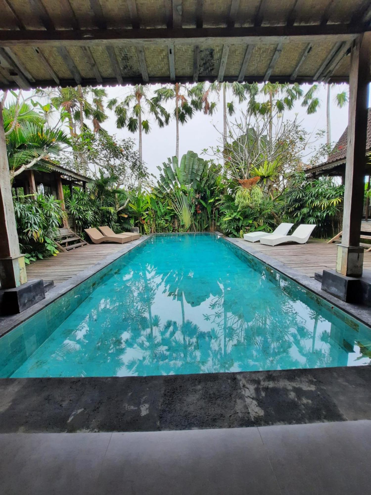 Virgin Villa