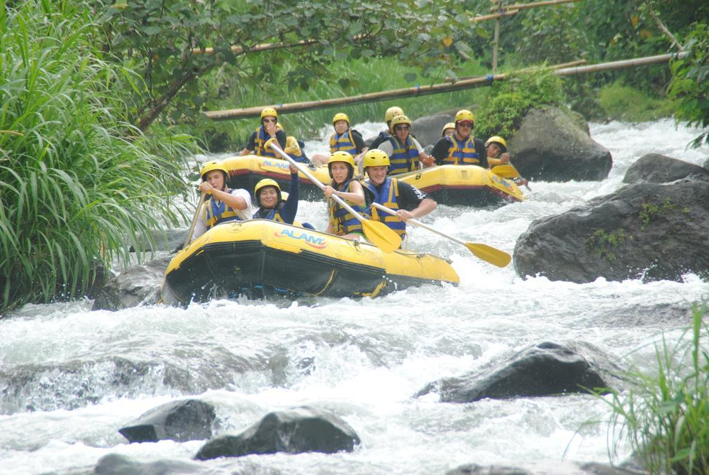 The Reinhold Bali Guest house